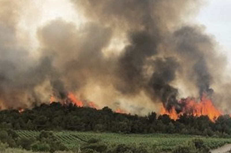 Laboratoire œnologique,analyse chimique vin,analyse du vin laboratoire,ph du vin rouge,acidité totale d'un vin rouge,acidité volatile vin rouge,acidité totale vin,acidité vin rouge,dosage acidité volatile vin,languedoc roussillon,vin,analyse,Analyses œnologiques,Conseils œnologiques,Accréditation COFRAC,aude,œnologie,Analysez votre vin,Bio,laboratoires analyses du vin,ingénierie œnologique,conception de chai,Marketing des vins,communication,Agronomie,viticulture,Viticulture raisonnée,systèmes de certification,Analyse et conseil œnologique,Assurance qualité des outils de production,sécurité alimentaire,Analyse fine,vigne,vin,professionnels,viticulteur,vigneron,onologue,languedoc roussillons,vins sud de france,vignobles du languedoc,laboratoires dubernet